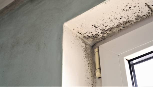 Best Residential Mold Inspection & Testing  in Gordonsville, VA